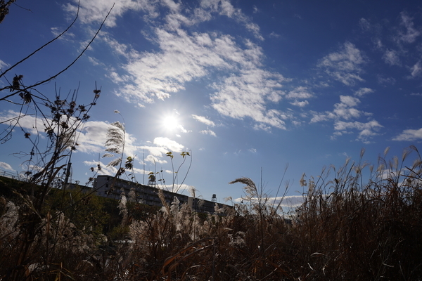 f:id:gzutetsu:20211228143401j:image