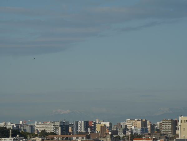 f:id:gzutetsu:20220126084824j:image