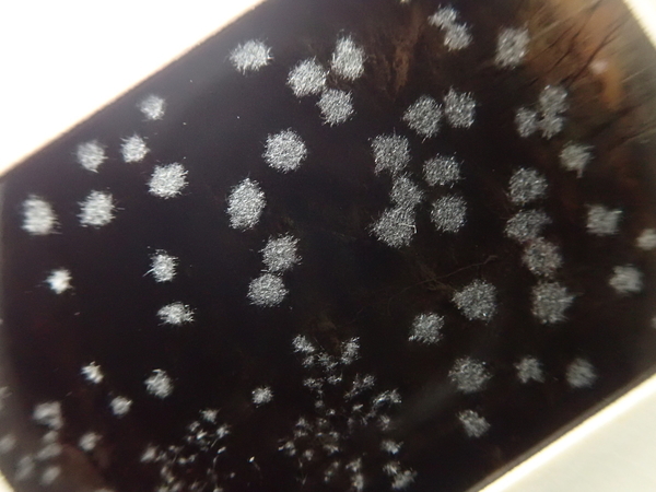 f:id:gzutetsu:20220130115425j:image