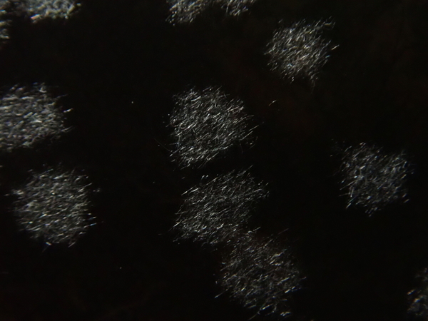 f:id:gzutetsu:20220130115538j:image
