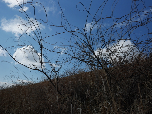 f:id:gzutetsu:20220220135619j:image