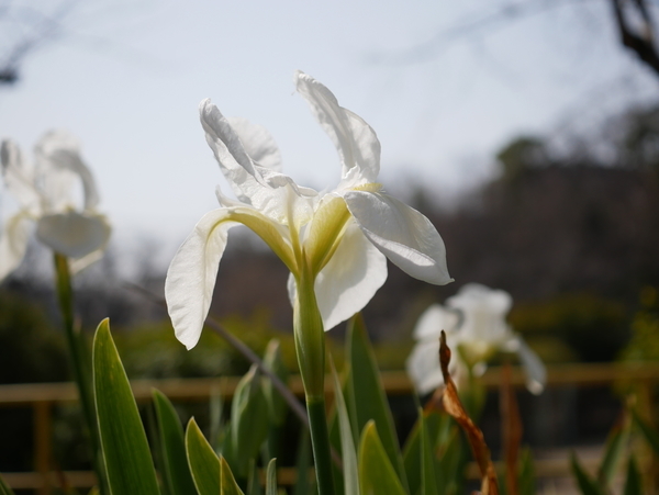 f:id:gzutetsu:20220305111036j:image