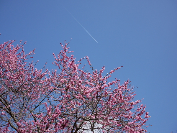 f:id:gzutetsu:20220320101350j:image