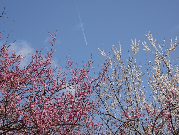 f:id:gzutetsu:20220320101430j:image