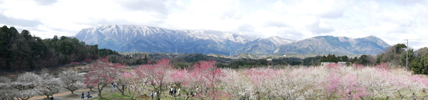 f:id:gzutetsu:20220320102203j:image