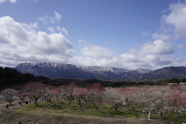 f:id:gzutetsu:20220320102253j:image