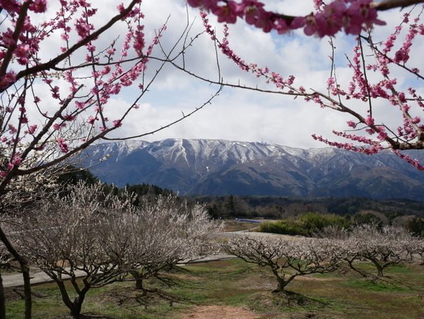 f:id:gzutetsu:20220320104650j:image
