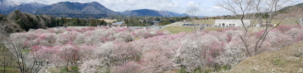 f:id:gzutetsu:20220320110446j:image