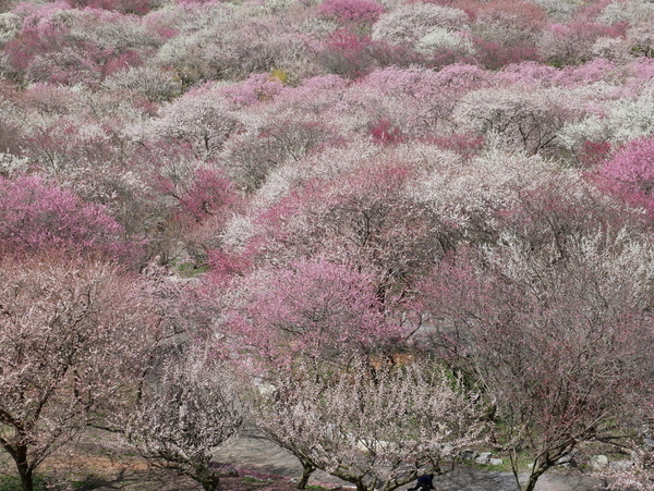 f:id:gzutetsu:20220320110911j:image