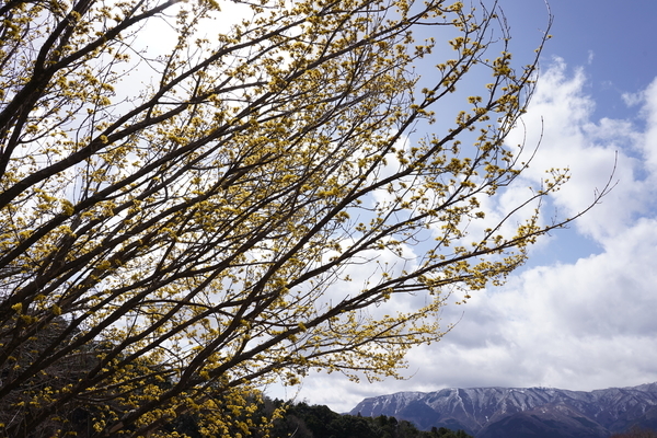 f:id:gzutetsu:20220320111824j:image