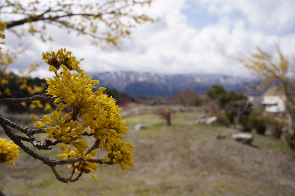 f:id:gzutetsu:20220320113325j:image