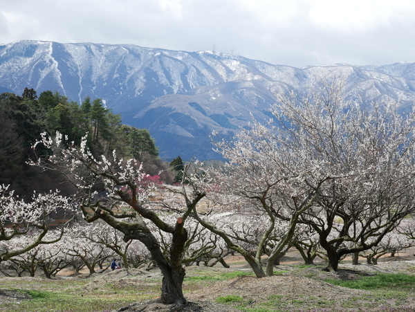f:id:gzutetsu:20220320114156j:image