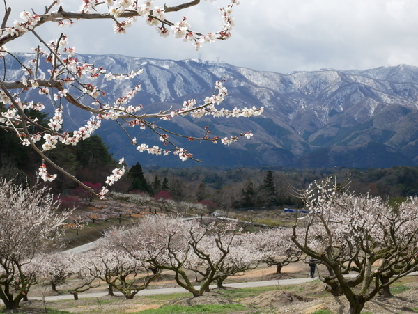 f:id:gzutetsu:20220320114613j:image