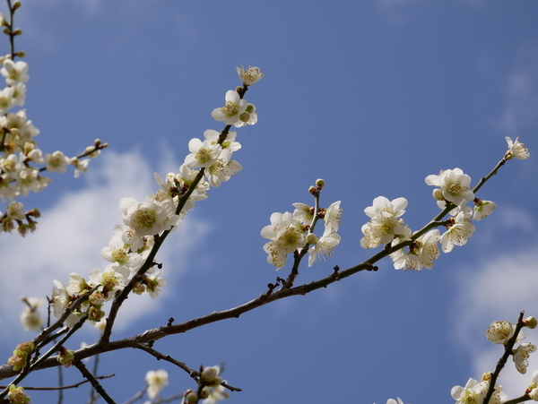 f:id:gzutetsu:20220320120303j:image