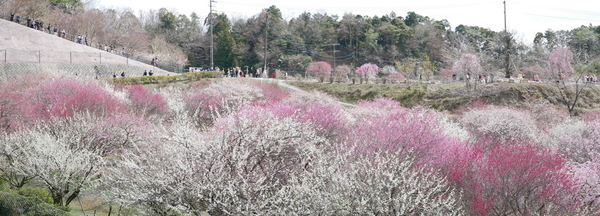 f:id:gzutetsu:20220320121629j:image