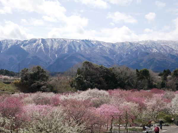 f:id:gzutetsu:20220320122007j:image
