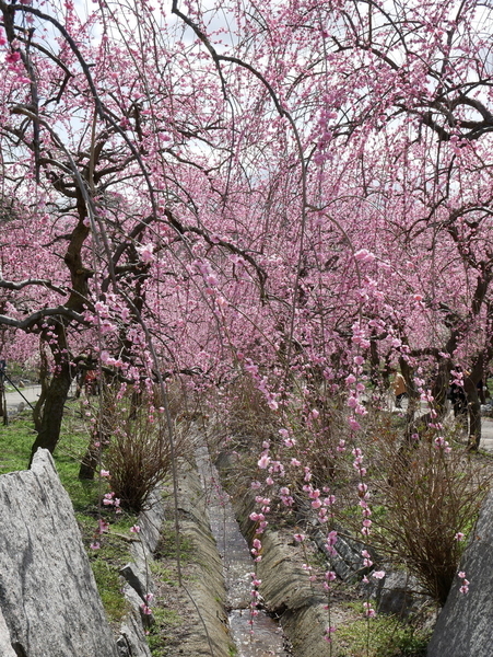 f:id:gzutetsu:20220320122637j:image