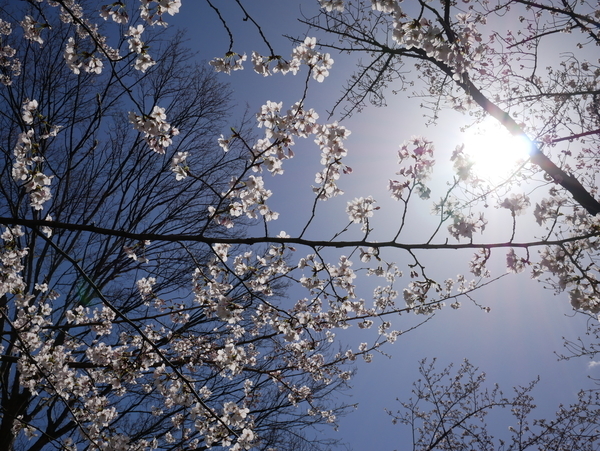 f:id:gzutetsu:20220327131404j:image