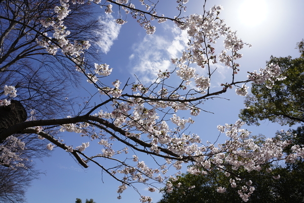 f:id:gzutetsu:20220327132603j:image