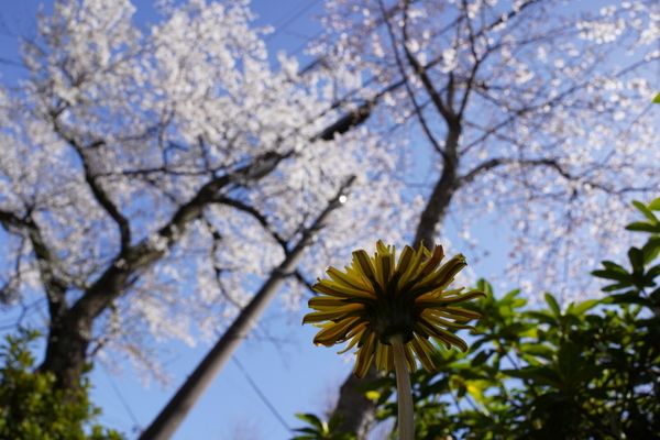 f:id:gzutetsu:20220327133339j:image