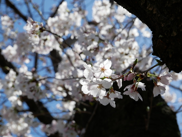 f:id:gzutetsu:20220327134432j:image