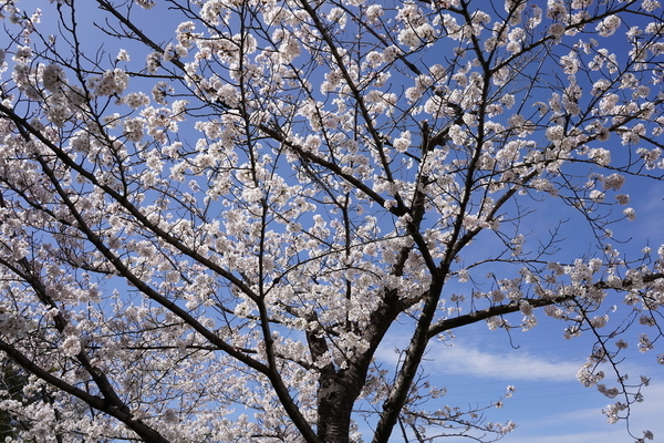 f:id:gzutetsu:20220327140618j:image