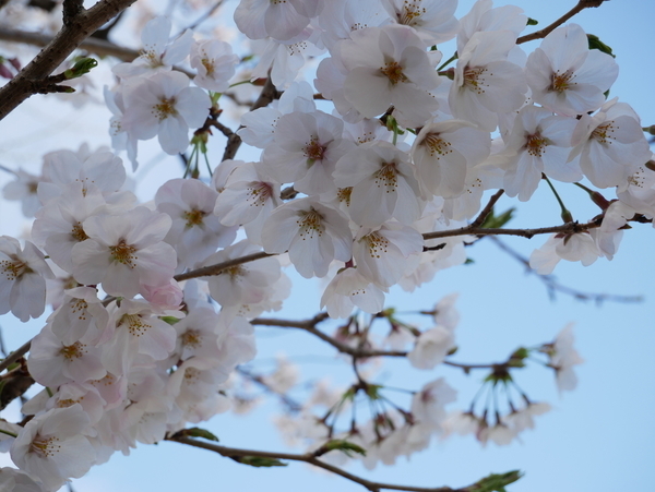 f:id:gzutetsu:20220327141006j:image