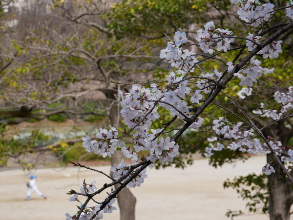 f:id:gzutetsu:20220327141109j:image