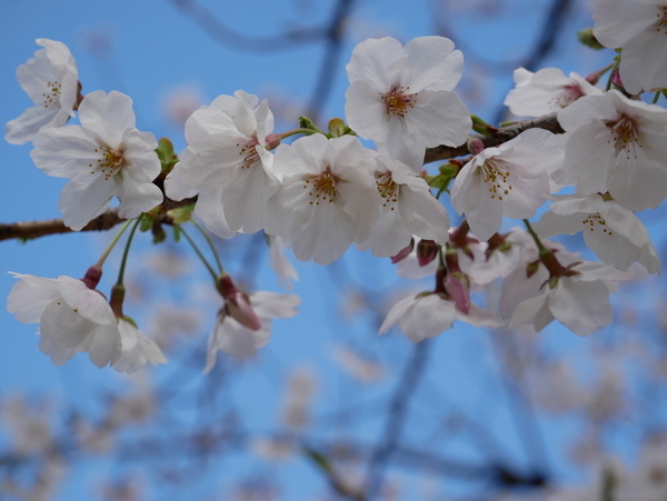f:id:gzutetsu:20220327141348j:image