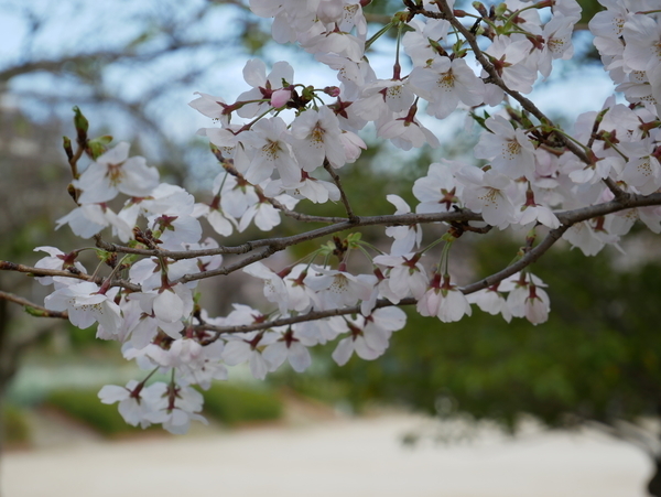 f:id:gzutetsu:20220327141404j:image