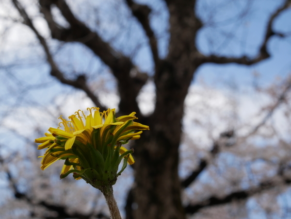 f:id:gzutetsu:20220327142748j:image