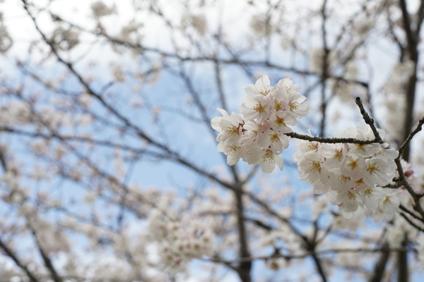 f:id:gzutetsu:20220327143151j:image