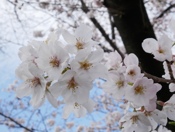 f:id:gzutetsu:20220327144526j:image