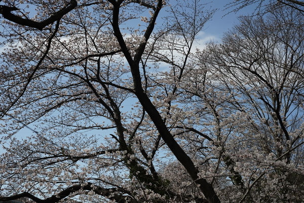 f:id:gzutetsu:20220327145309j:image