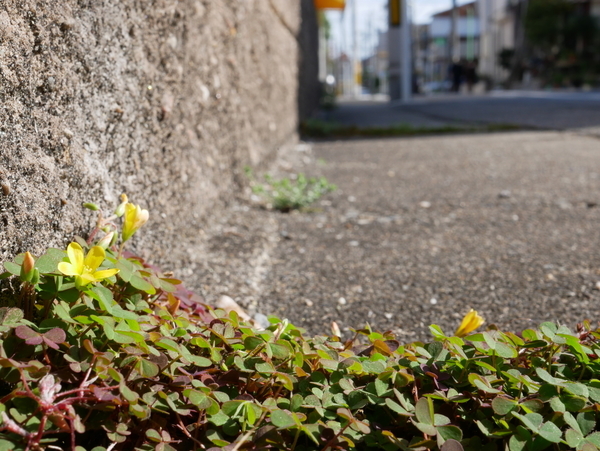 f:id:gzutetsu:20220327150836j:image