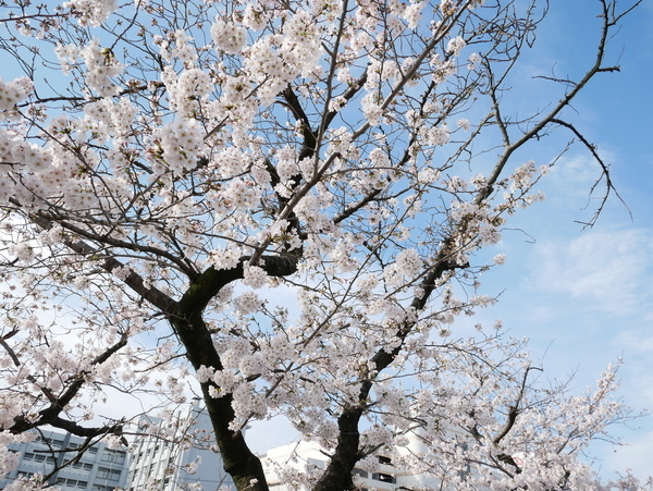 f:id:gzutetsu:20220328081730j:image