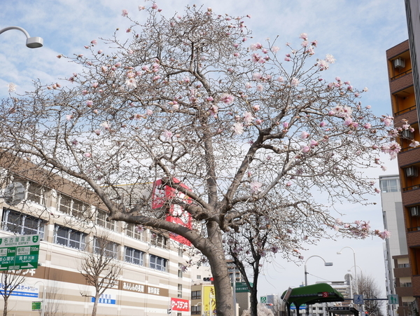 f:id:gzutetsu:20220328083846j:image