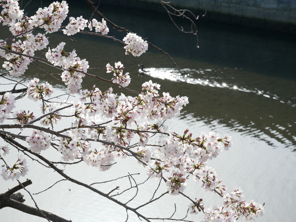 f:id:gzutetsu:20220330080605j:image