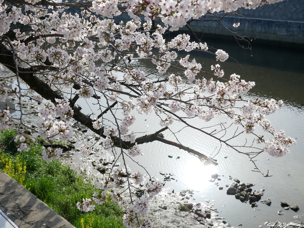 f:id:gzutetsu:20220330080629j:image