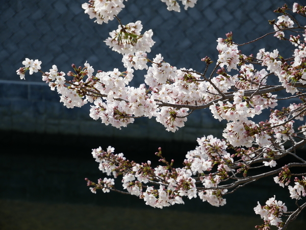 f:id:gzutetsu:20220330080842j:image