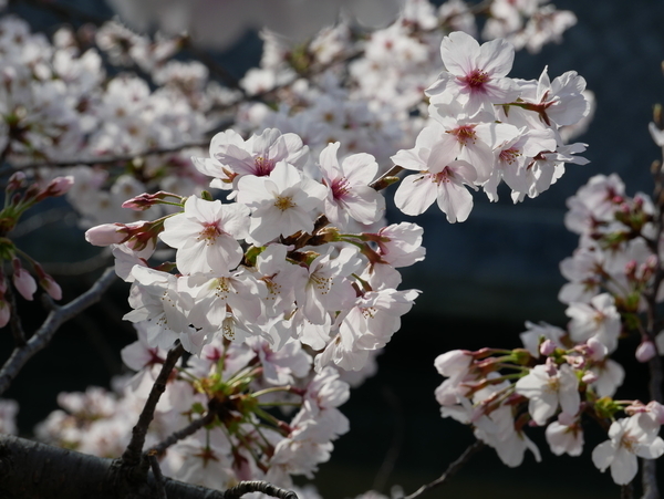 f:id:gzutetsu:20220330080944j:image
