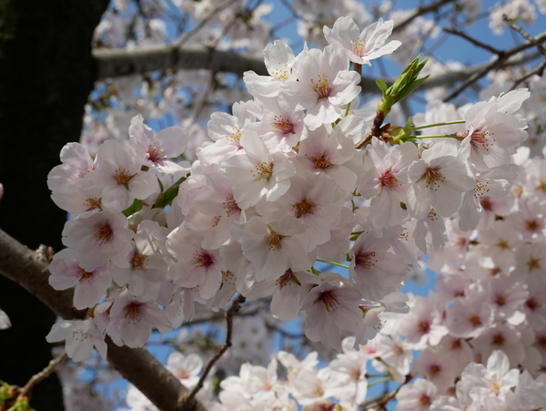 f:id:gzutetsu:20220330081102j:image