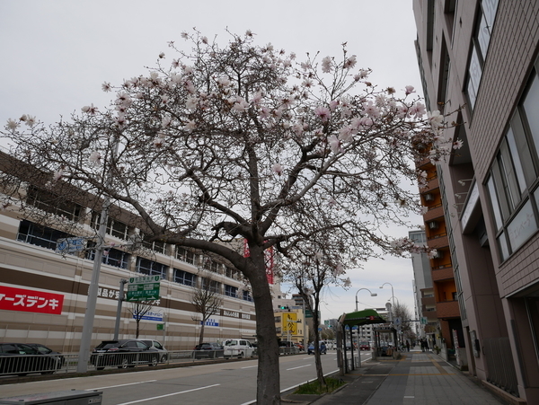 f:id:gzutetsu:20220401083521j:image