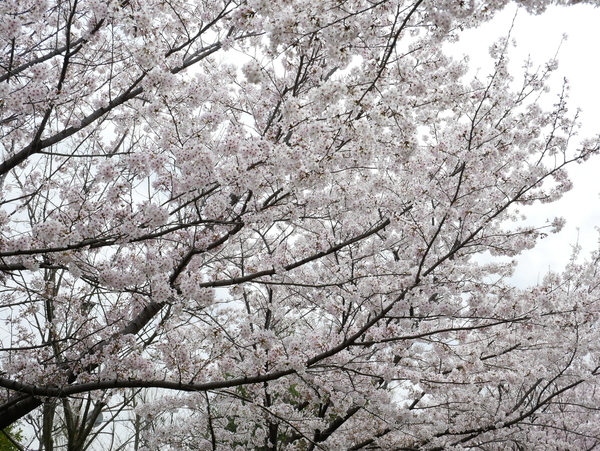 f:id:gzutetsu:20220402132226j:image