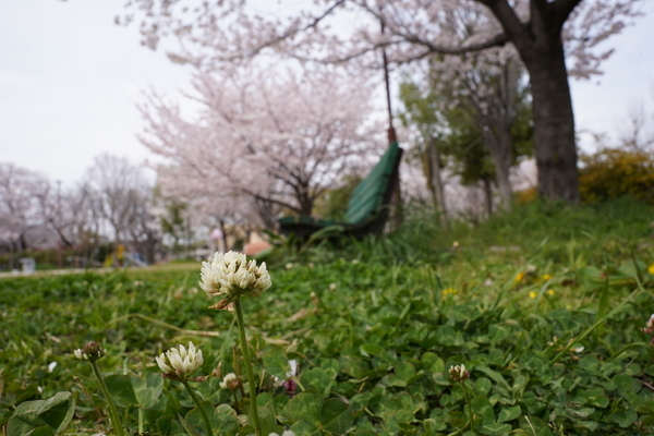 f:id:gzutetsu:20220402133338j:image