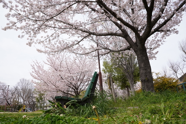 f:id:gzutetsu:20220402133558j:image