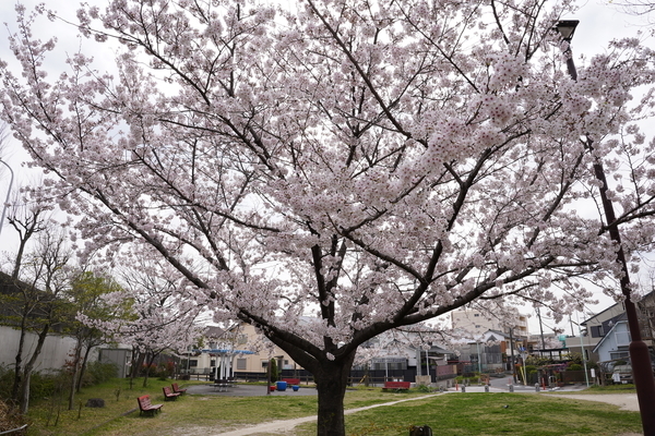 f:id:gzutetsu:20220402133716j:image