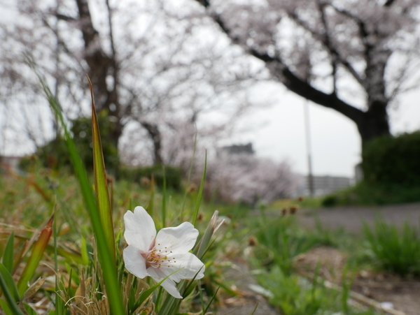 f:id:gzutetsu:20220402135712j:image