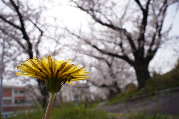 f:id:gzutetsu:20220402140230j:image