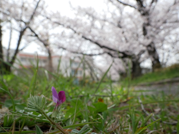 f:id:gzutetsu:20220402140705j:image